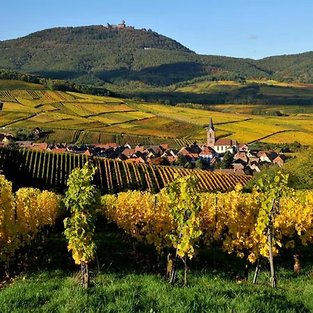 Petite Palette Apartment *